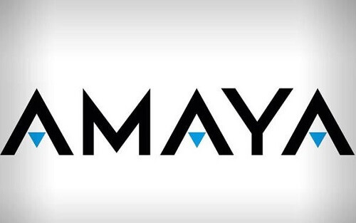 Image of Amaya logo