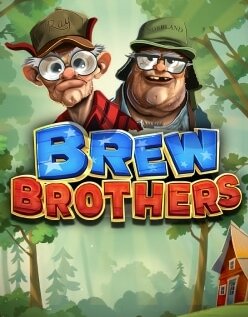 Brew Brothers (Slotmill) Slot Review