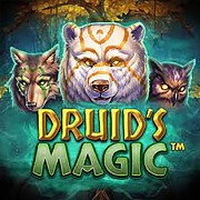 Druid’s Magic Slot Review