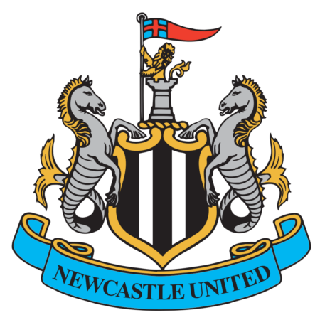 Georginio Wijnaldum Puts Newcastle In Front