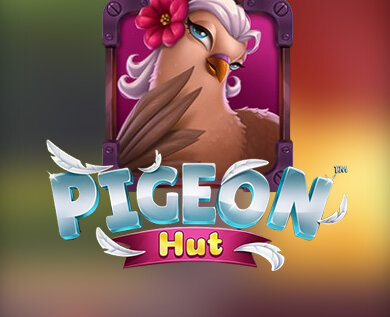 Pigeon Hut Slot Review