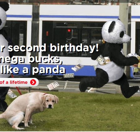 Live Like a Panda Thanks to Royal Panda Casino