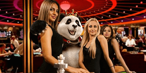 Image of Royal Panda Online Casino Live Roulette