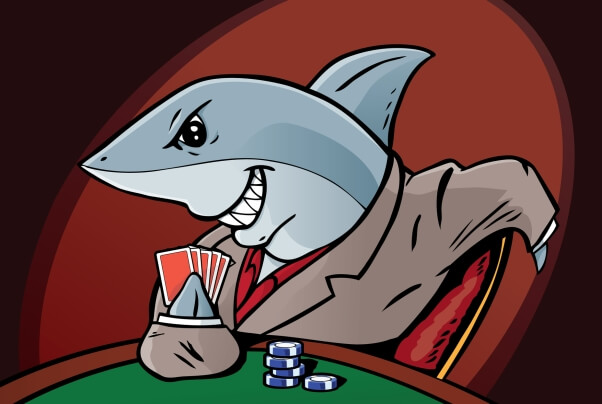 Shark playing Poker