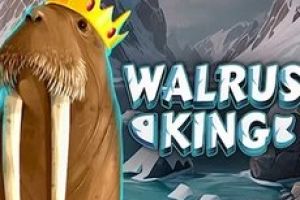 Walrus King (OctoPlay) Slot Review