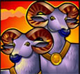 a thumbnail image of two rams